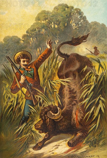 Hunting scene in Romania, picture of a fairy tale, fantasy, hunter with rifle, reeds, riverbank,