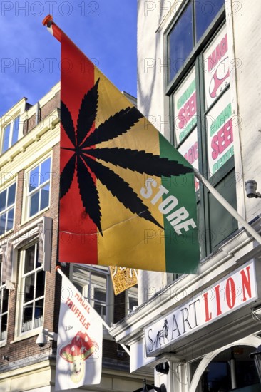 Flag with marijuana leaf at a cannabis shop in the pedestrian zone of The Hague, South Holland
