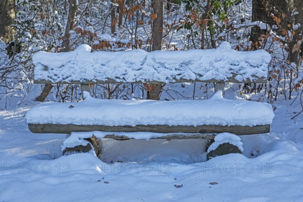 Snowy bench, winter, snow, Sieversen, Samtgemeinde Rosengarten, Lower Saxony, Germany