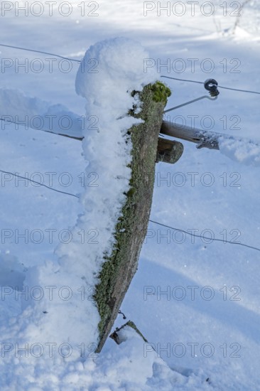 Snowy fence post, winter, snow, Sieversen, Samtgemeinde Rosengarten, Lower Saxony, Germany