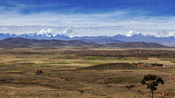 Extensive valleys in front of a high mountain range and deep blue sky, the Altiplano landscape in