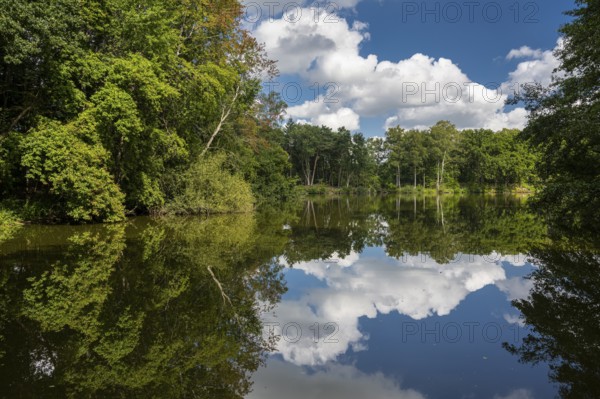 Cumulus clouds over Ahlhorn fish ponds, Ahlhorn, Lower Saxony, Germany