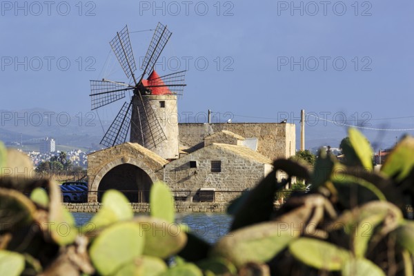 View through Opuntia of salt museum, traditional windmill, saltworks di Trapani and Paceco nature