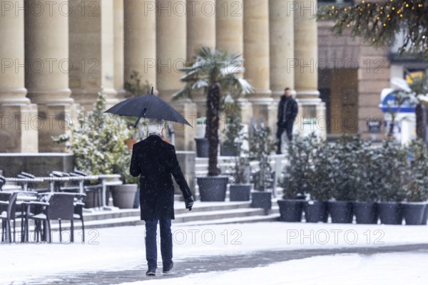 Winter in Stuttgart. There is a closed blanket of snow in the city center. Palm trees and other