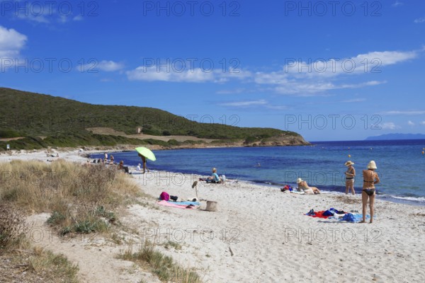 Plage de Tamarone sandy beach, Cap Corse, Haute-Corse Department, Corsica, Mediterranean Sea,