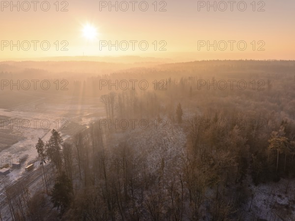 Foggy winter landscape with trees under golden morning sun, old deposit, construction site for PV