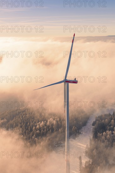 Single wind turbine rises over foggy landscape with low sun, Bad Wildbad, Calw district, Black