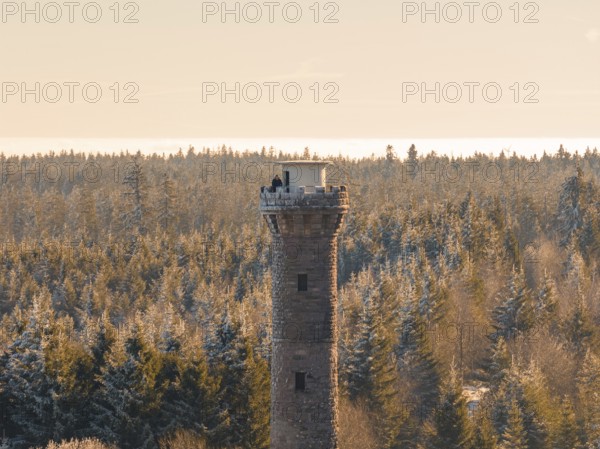 A detailed view of an observation tower surrounded by snow-covered trees, Holohturm, Gernsbach,