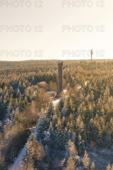 A snowy forest with a tower and sunlight penetrating through the trees, Holohturm, Gernsbach,