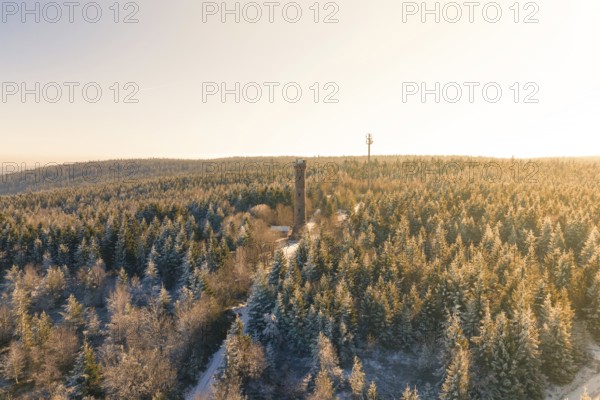 A wide view of a snow-covered forest with a tower on the horizon, Holohturm, Gernsbach, Rastatt