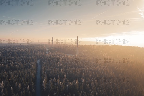 A dense forest with tall wind turbine towers on the horizon, surrounded by soft sunset light and