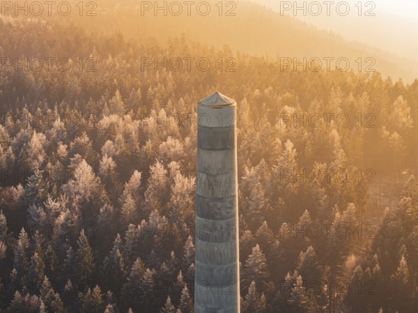 A single wind turbine tower rises above thick trees that glow in the light of the golden hour, far