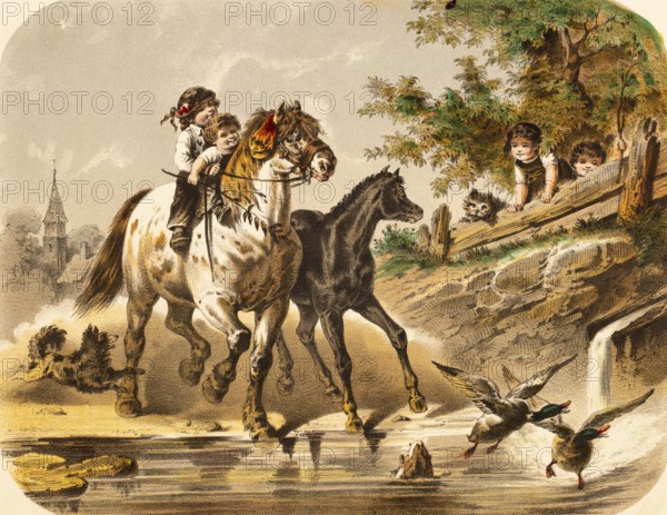 Boys and girls have fun riding on a river, two horses, children and cats on a bridge watch the