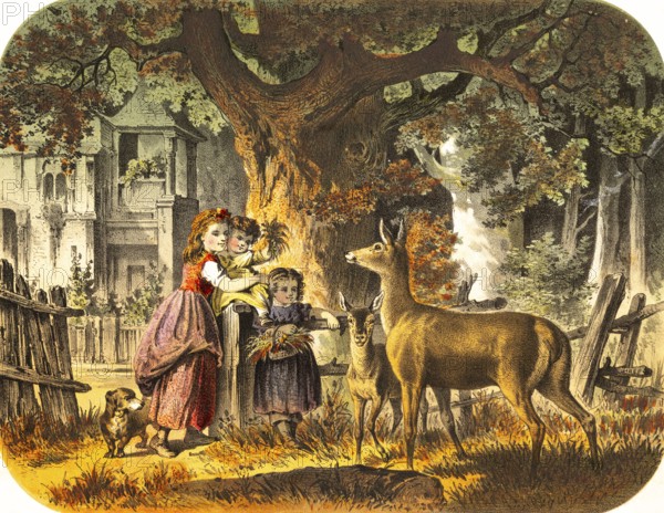 Rural scene with three children and friendly deer, villa, forest, children feeding tame deer with