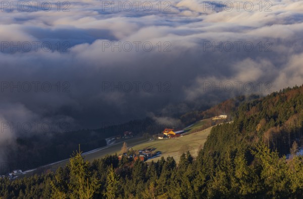 Agricultural landscape with farms rising out of a sea of fog, inversion weather, Mondseeland,