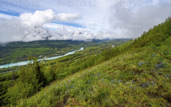 View of snowy mountains in spring and turquoise blue Kenai River, Slaughter Ridge Trail, Cooper