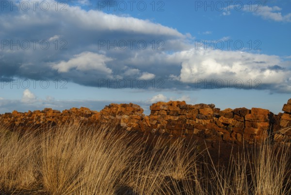 Peat mining in Goldenstedter Moor, Goldenstedt, Lower Saxony, Germany