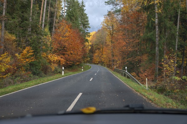 Herbstwald an der Bundestraße 2, View from the car, Gräfenberg, Upper Franconia, Bavaria, Germany