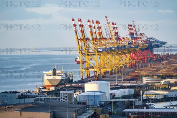 MSC and Eurogate container terminal in the seaport of Bremerhaven, Eurogate container terminal with
