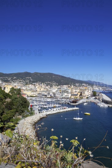 View from the citadel of the old port with marina and church of Saint Jean-Baptiste à Bastia or