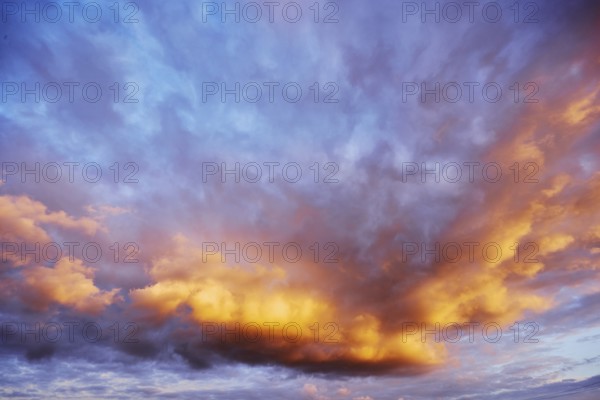Stratocumulus cloud, cumulus clouds, blue sky, evening light, Windmühlenweg, Gronau, Münsterland,