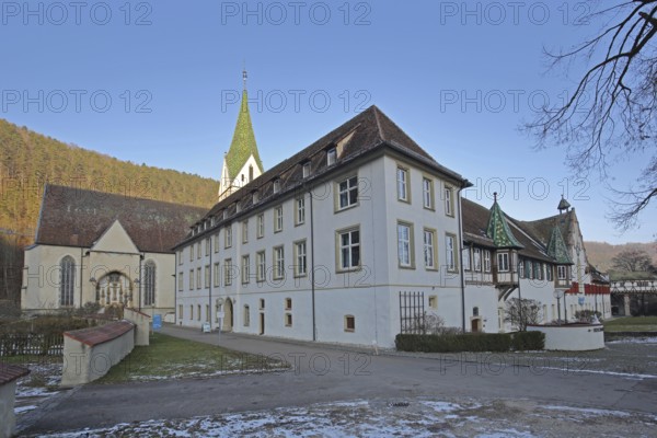 Benedictine monastery built 15th century, monastery church, Blaubeuren, Swabian Jura,