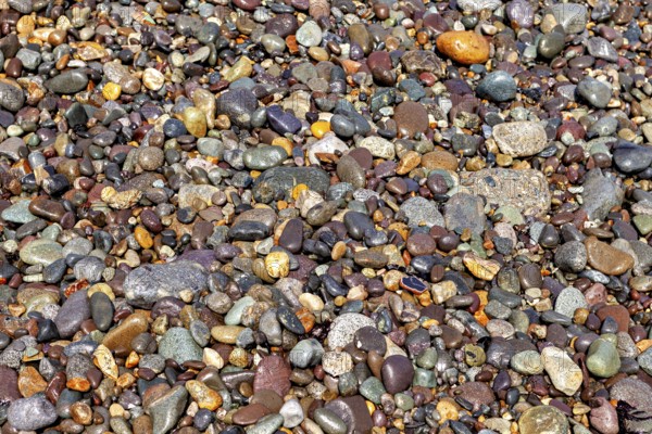 A variety of colorful pebbles of various shapes and colors form a natural texture. The colorful