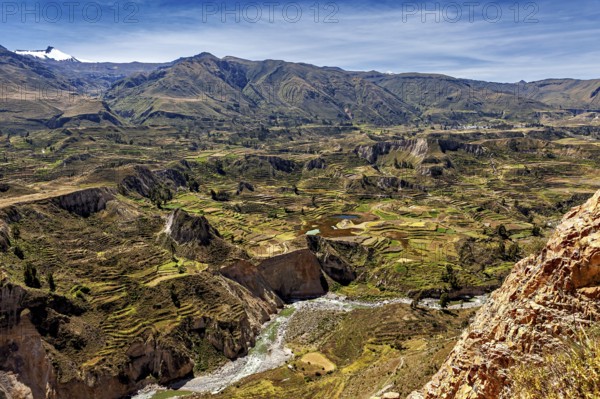 Landscape with terraces, mountains and a river under a blue sky, The landscape of the Colca Canyon