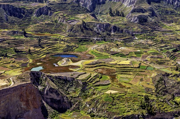 Extensive terraced fields with colorful plants, mountains in the background and lakes in the