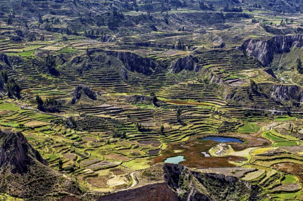 Landscape with terraced fields surrounded by mountains and a small lake under cloudy sky, The