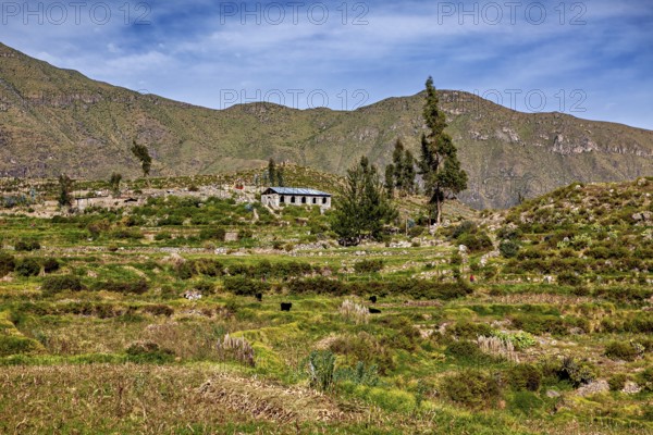 Single house on hill with surrounding green landscape and mountains in the background, farmers in