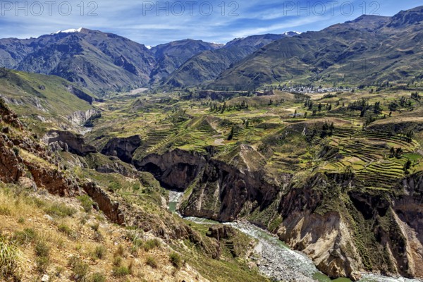 Valley with terraced fields surrounded by mountains and a river, The landscape of the Colca Canyon