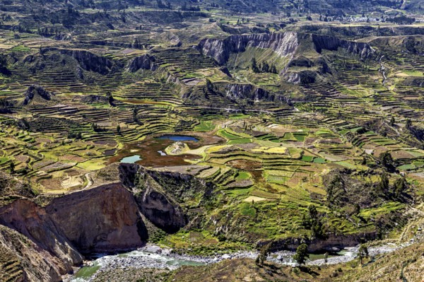 Large-scale view of terraced fields in a vast mountain landscape with a river, The landscape of the