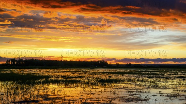 Dramatic sunset over flooded wetlands with wind turbines in the background and bright shades of