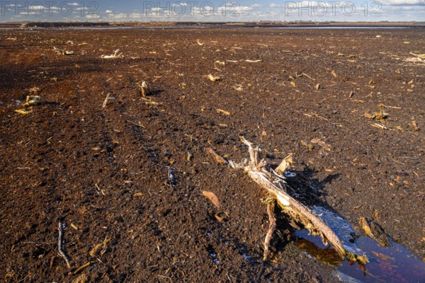 Peated hoochmoor black peat in cloudy skies with earthy colors and natural texture, Diepholzer