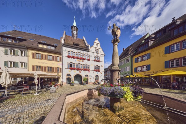 Market fountain, decoration with plants and flowers, historic town hall, outdoor area of a