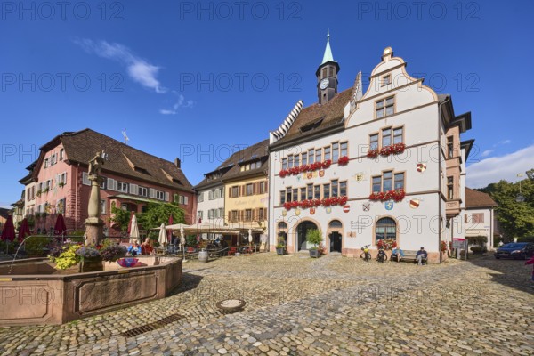 Historic town hall, market fountain, general architecture, historic buildings, houses, cobblestone