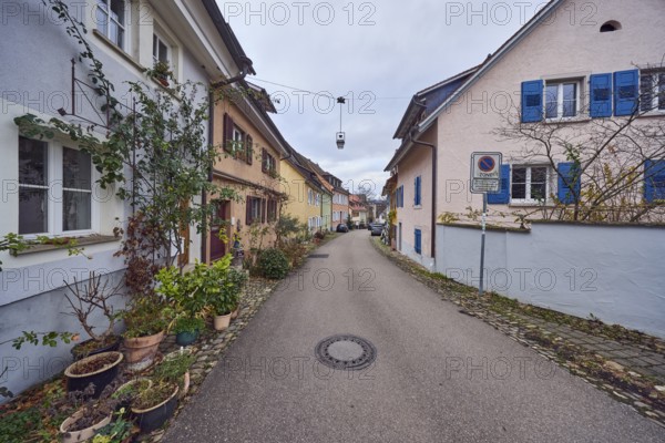 Residential buildings, multi-family houses, façade with windows and trellises, flower pots,