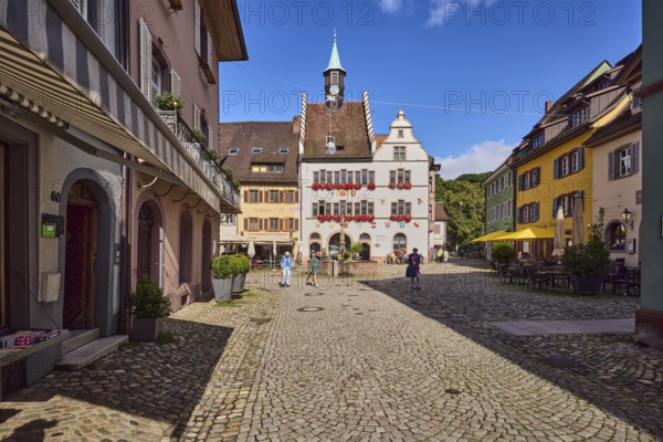 Historic town hall, market fountain, general architecture, historic buildings, houses, street,