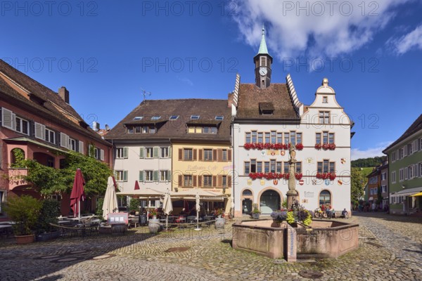Historic town hall, market fountain, general architecture, historic buildings, houses, town hall