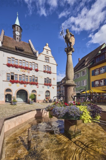 Market fountain, historic town hall, general architecture, houses, cobblestone square, trees, blue
