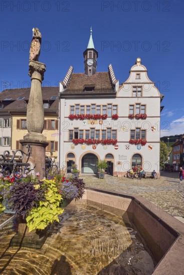 Market fountain, planters with sweet potato (Ipomoea batatas), historic town hall, general