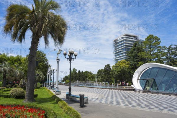 Palm trees and street lamps along a modern walkway in the urban landscape with fountain, right