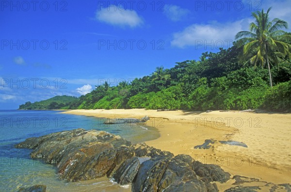 Palm tree, secluded beach on the island of Ko Lanta, Thailand, December 2002, vintage, retro, old,