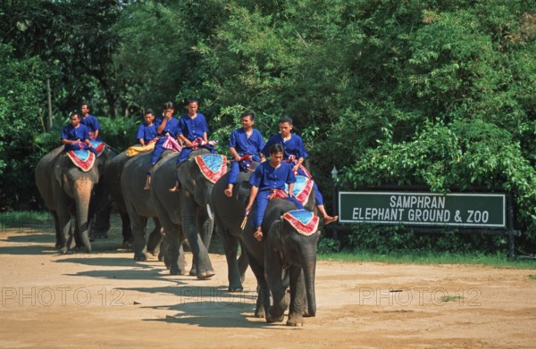 Performance with elephants at Samphran Elephant Ground and Zoo near Bangkok, Thailand, December