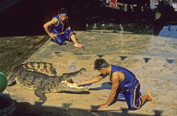 Performance with crocodiles at Samphran Elephant Ground and Zoo near Bangkok, Thailand, December