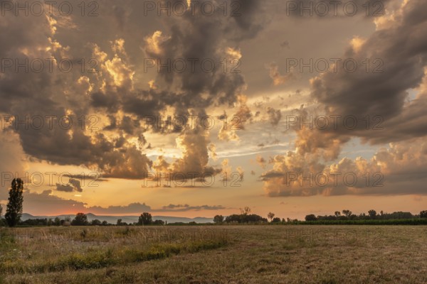 A brilliant sunset casts warm colors across a cheerful meadow. Dark clouds dominate the sky, while