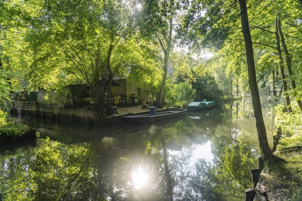 Canal or Spreewaldfließ in the Spreewald near Spreewalddorf Lehde, Lübbenau/Spreewald, Brandenburg,