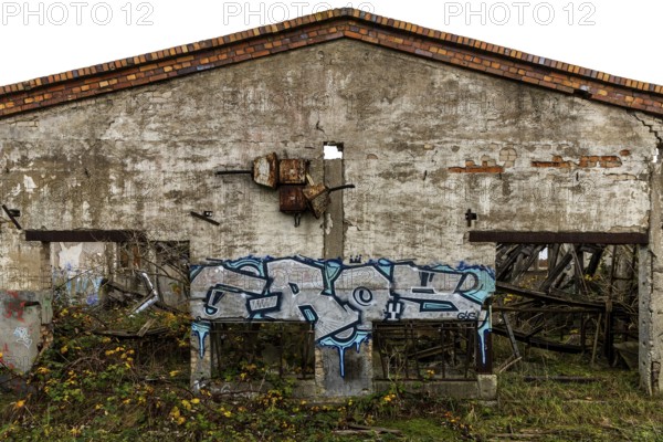 Dilapidated hall with gravity of the dilapidated plant of a former agricultural production