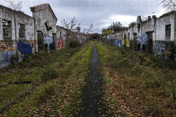 Dilapidated halls with gravity of the dilapidated plant of a former agricultural production